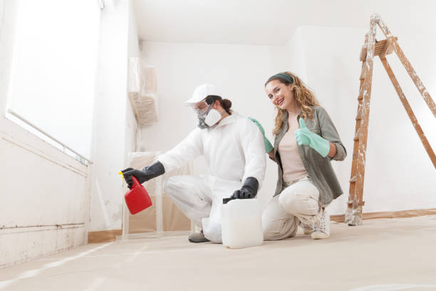 Best Water Damage & Mold Remediation  in Bellerose, NY